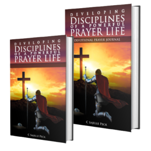 Developing Disciplines of a Powerful Life: Paperback & Devotional Prayer Journal